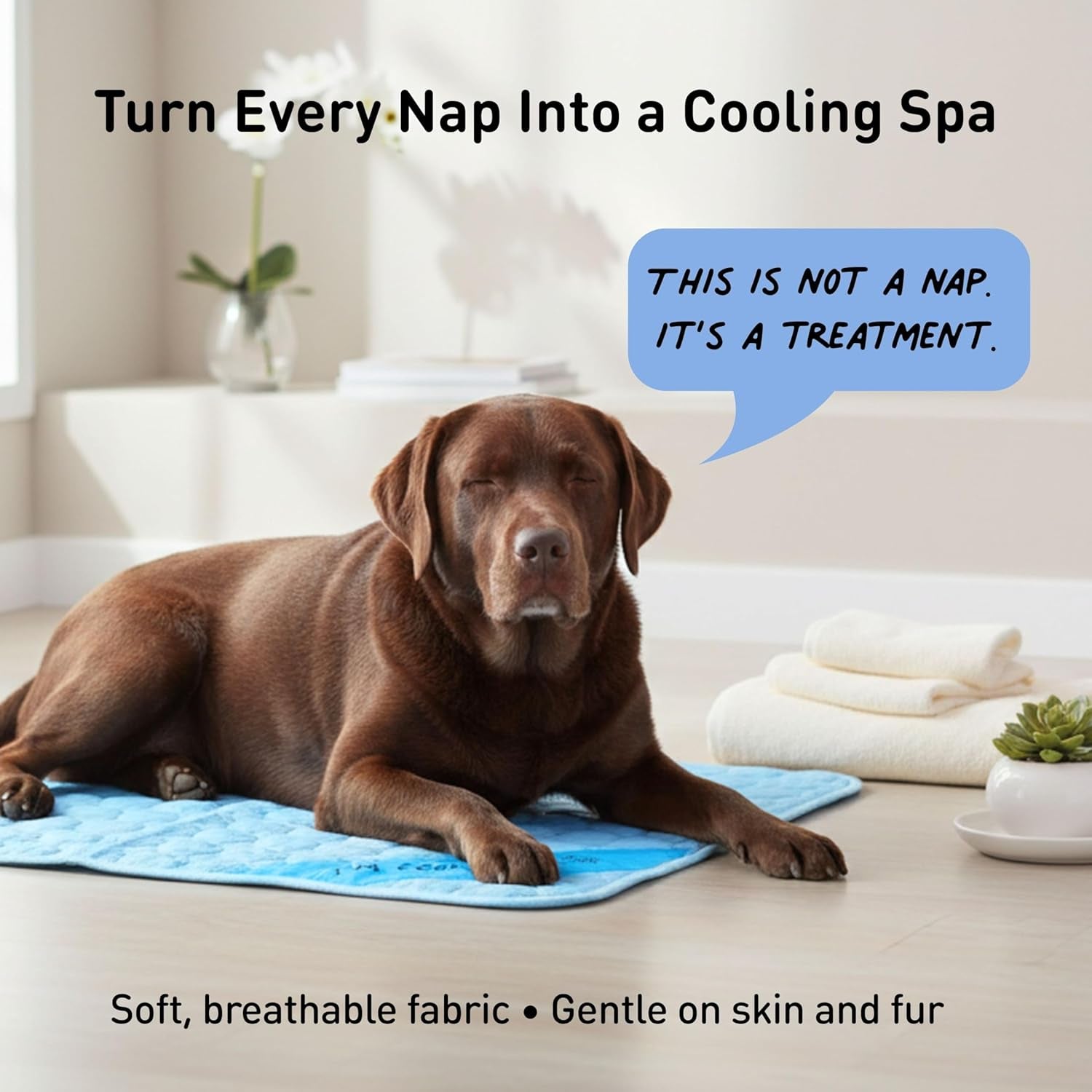 Self-Cooling Dog Mat for Large Dogs – Washable Portable Cooling Pad for Crates, Cars & Summer Comfort